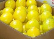 FRESH LEMON