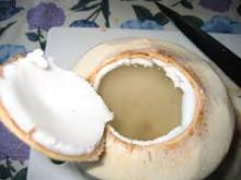 Fresh Young Coconuts
