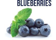 Blueberry / Fresh and Frozen ( IQF )