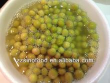Caned Green Peas Canned Food Strict QC Team in China