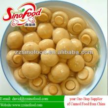 Good Quality 2013 Canned Mushrooms Whole in metal cans