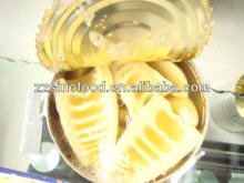 Good Quality Canned Food Bamboo Shoots Manufacturer