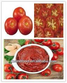 excellent canned  tomato   paste   brix  28%-30%