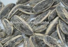 Sunflower Seeds Roasted Snack Food