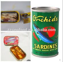 125g 155g 425g Canned sardines in tomato sauce with best quality