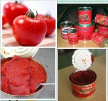 Wholesale Canned tomato paste brix:28%-30% 70g 400g 2200g