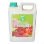 Sirup Strawberry-  Bubble   Tea 