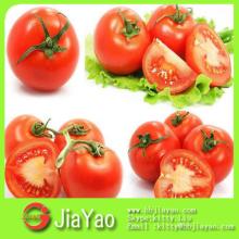canned food canned product canned tomato paste