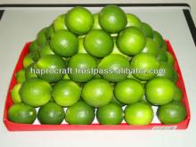 Fresh Seedless Lime