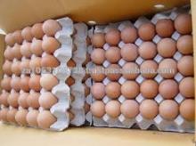 farm fresh chicken eggs