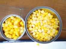 Perfect  Canned   Yellow  Corn