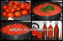 Chinese Canned tomato sauce/ canned vegetables