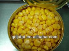 high quality Caned sweet corn from china