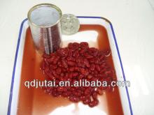 new crop canned red kidney Beans in tomato sauce