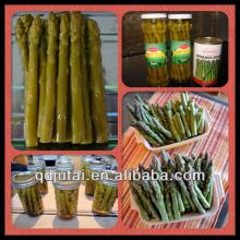 Chinese white/ green canned asparagus in brine