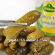 on sale Canned Pickled Cucumber in brine