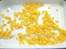  Thailand   Canned   Sweet   Corn  for Promotion