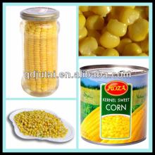 Caned sweet corn canned foods