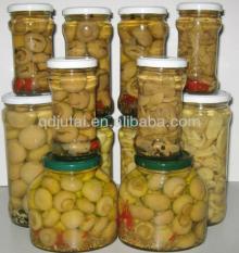 Canned Mushrooms whole