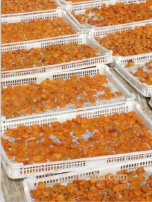 dried apricot dried fruits