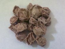 All Kinds of Dried Fruits on Sale