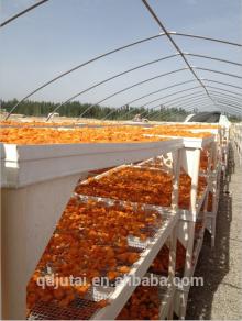 Xinjiang dried apricot whole dried fruit
