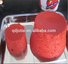Best Selling Tomato Paste Ketchup