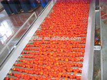 Best Tomato Paste Brands