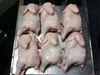 BEST PRICE & QUALITY ON HALAL FROZEN WHOLE CHICKEN