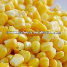  yellow   corn   price 