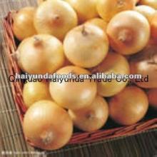 onion