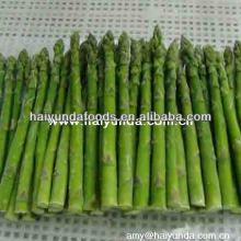 2013 new harvest frozen green  asparagus 