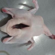 frozen cherry valley HALAL whole duck