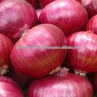 Fresh Nasik Onion Red