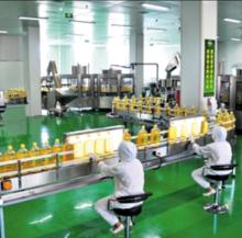 organic crude corn oil / hot sale