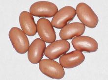 Pink Kidney Beans