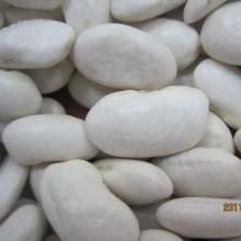 White Kidney Beans (Long Shape)