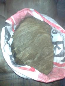 Salted cow omasum,salted buffalo omasum,wholesale omasum
