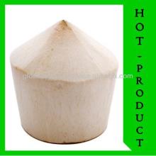  Young   Tender   Coconut 