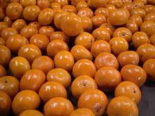 Sweet Fresh Mandarin Kinnow Orange