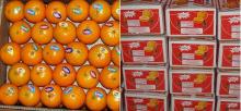 Fresh Mandarins/ Kinnow from Pakistan