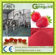 Industrial egg powder maker /strawberry juice powder making machine