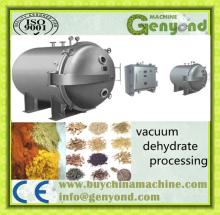 Large-scale Vacuum Freeze Dryer for fruit dehydrator