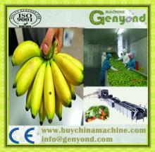 PLANTAIN Quick Freezing Processing Line Machine