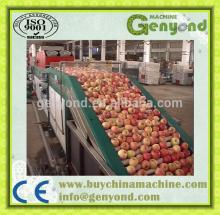  Fruit  cleaning machine/  fruit   wax ing machine/ fruit  grading machine