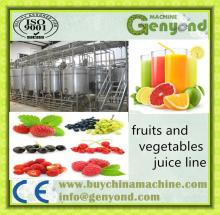 passion fruit juice machine/natural fruit juice production line