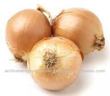 Fresh Onions