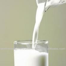 Full cream Milk