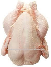 Halal whole frozen chicken Grade A Broiler and Griller.