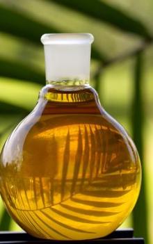 Refined Castor Oil (Pale Pressed Grade)